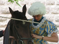 REMPARTS LONGWY 2008 264